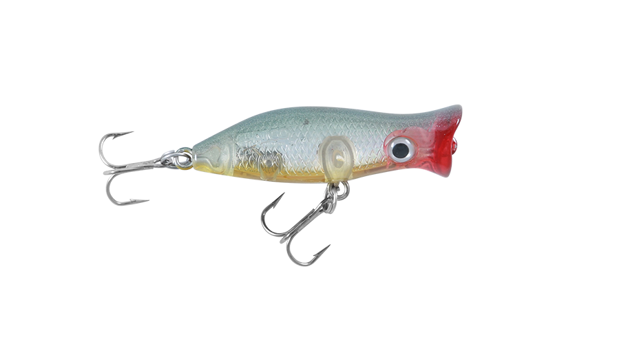 ROOSTA POPPER