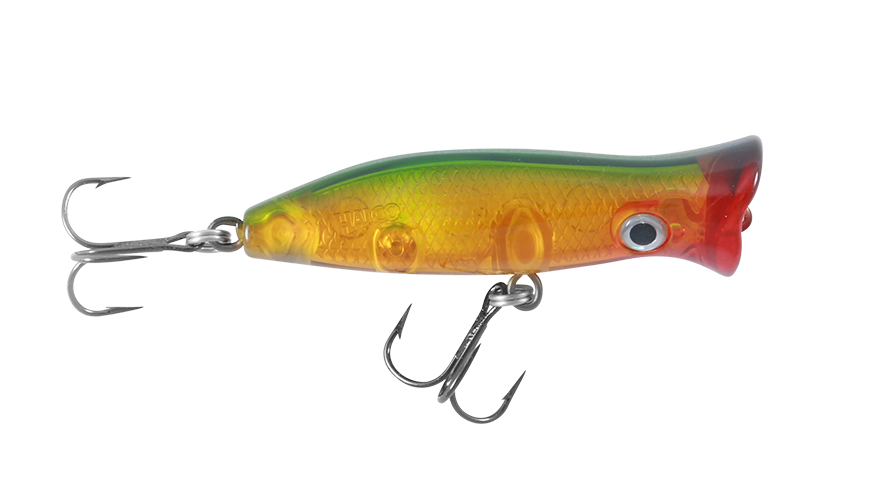 ROOSTA POPPER