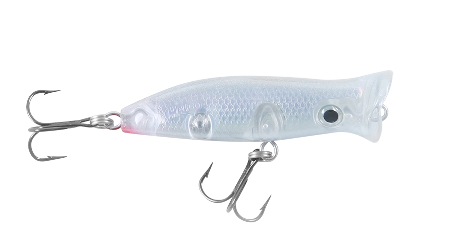 ROOSTA POPPER
