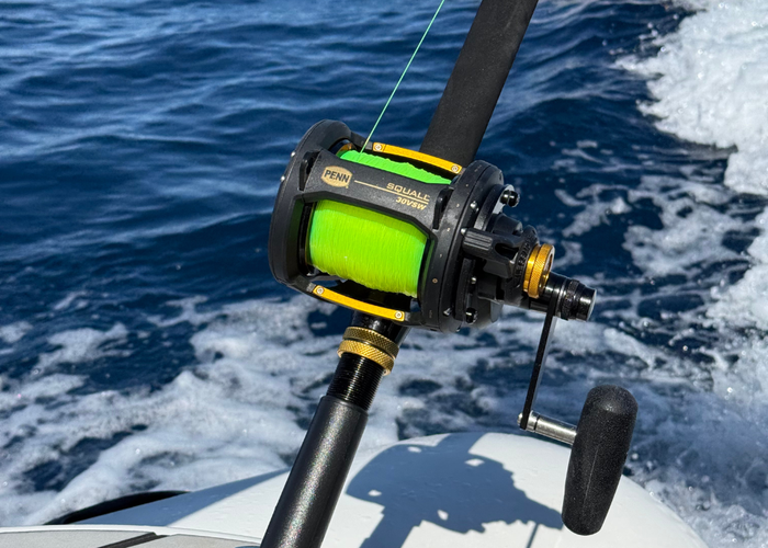 Setting reel drag for saltwater fishing