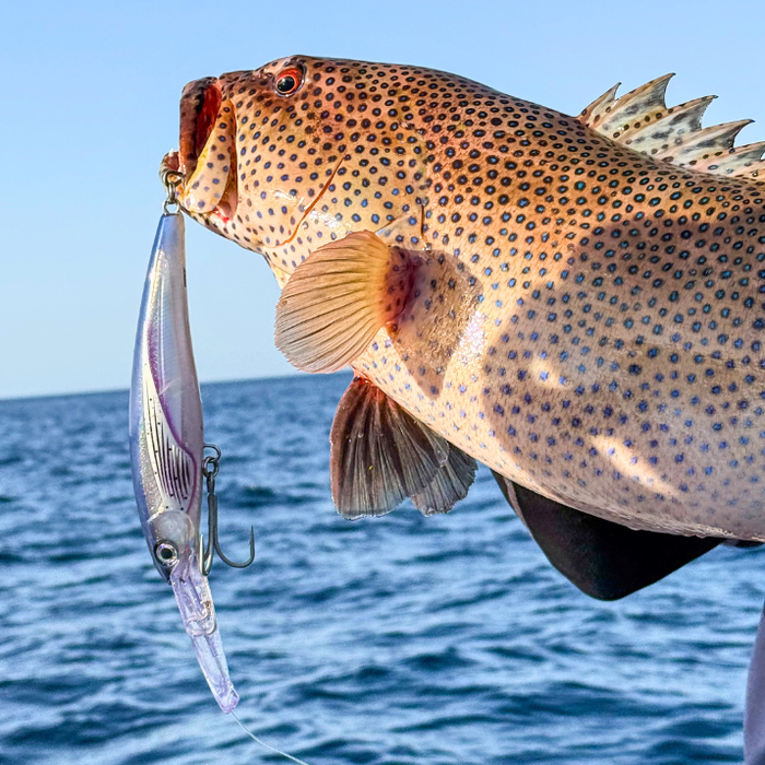 Beginner fishing in the Red Sea Egypt