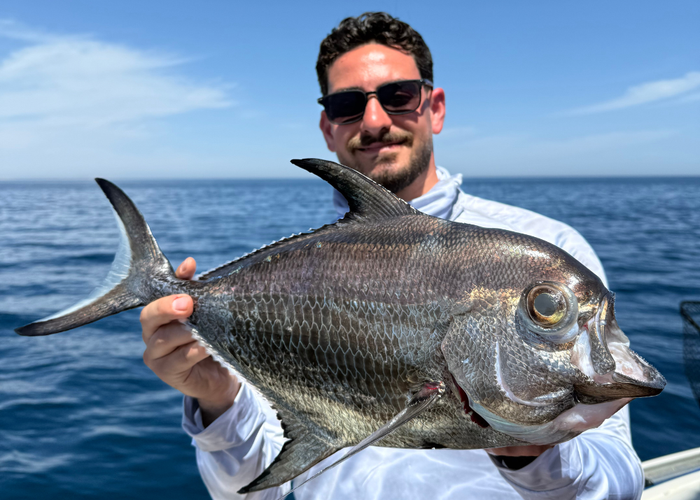How to Deep Drop in the Red Sea: A Practical Fishing Guide
