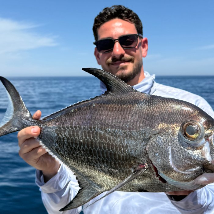 How to Deep Drop in the Red Sea: A Practical Fishing Guide