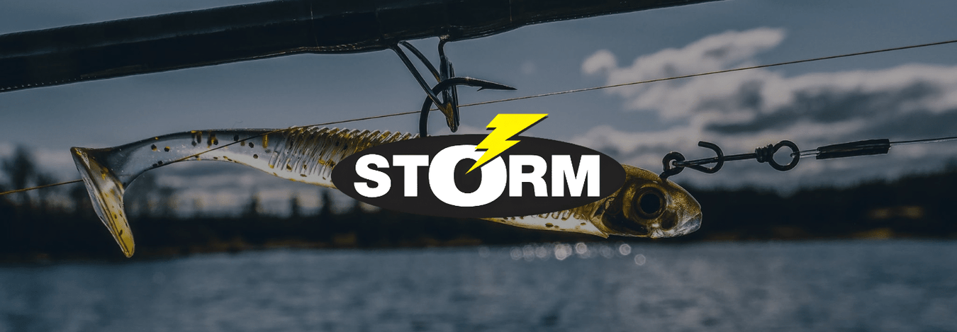 STORM - Eprofishing