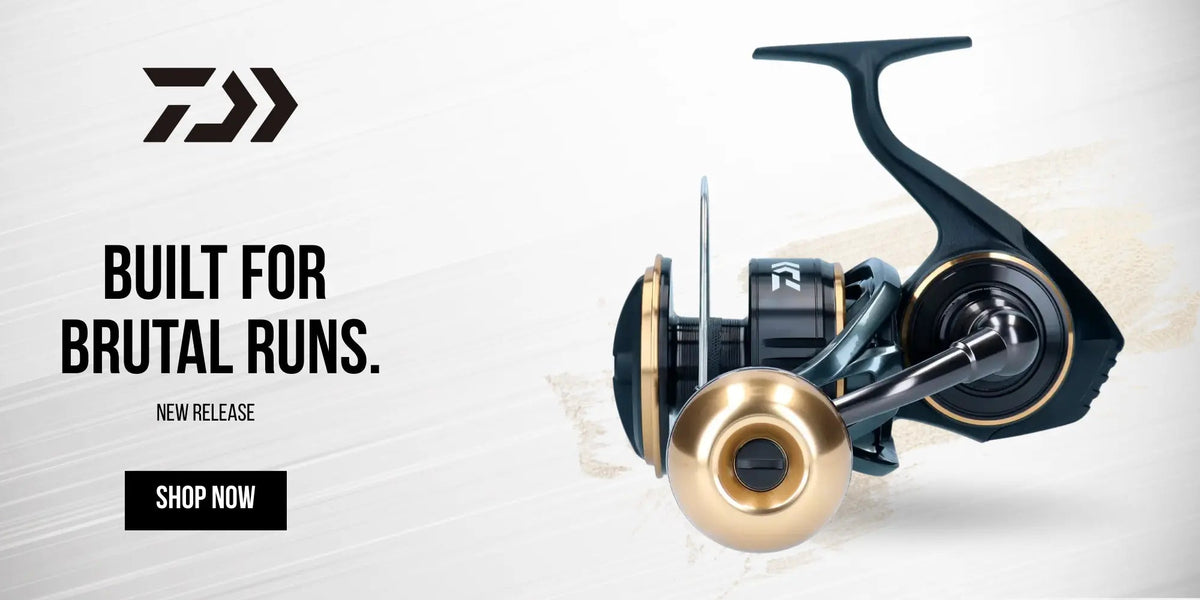 Shop Daiwa Fishing Reels in Egypt | Eprofishing