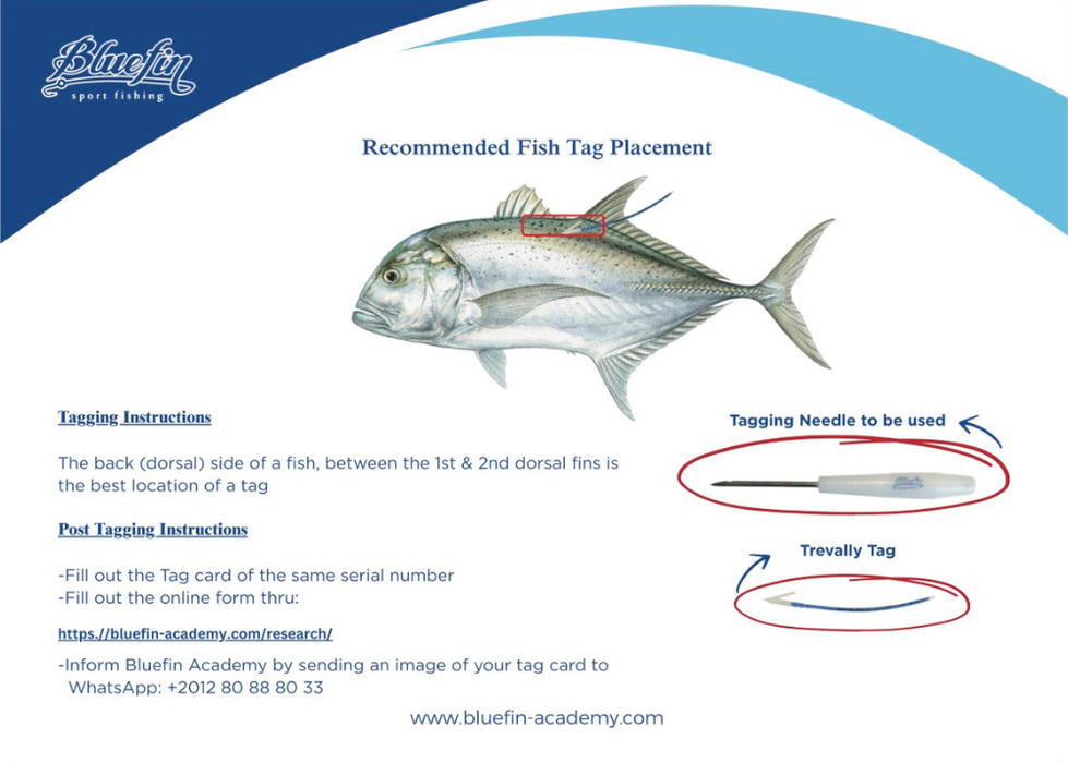 BLUEFIN SPORT FISHING TAGGING KIT - SMALL NEEDLE