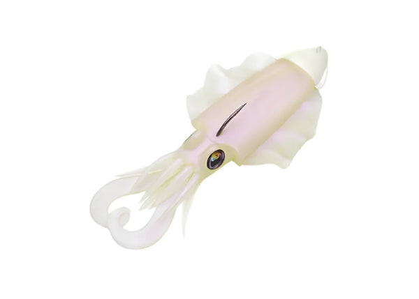 JLC Xoco Cuttlefish 150 mm