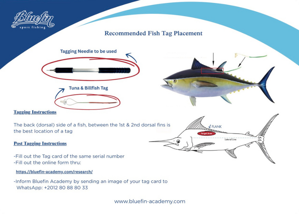 BLUEFIN SPORT FISHING TAGGING KIT - LARGE NEEDLE
