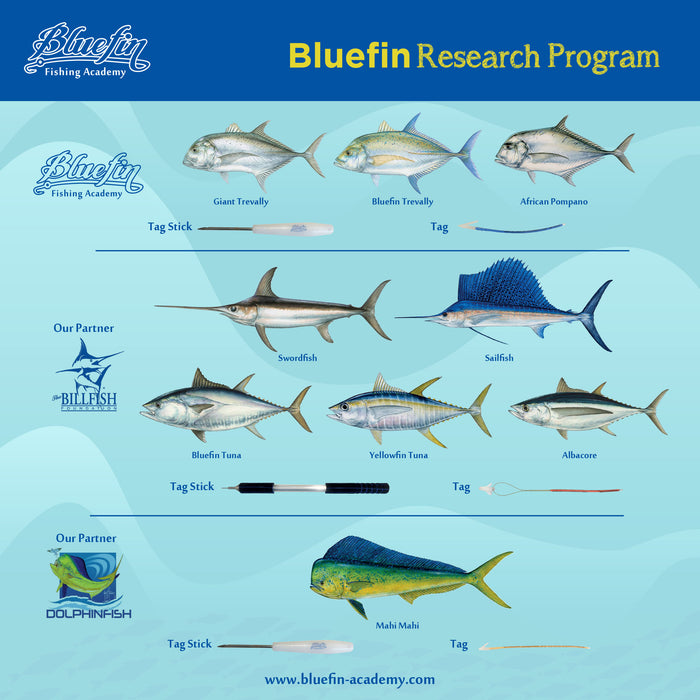 BLUEFIN SPORT FISHING TAGGING KIT - LARGE NEEDLE