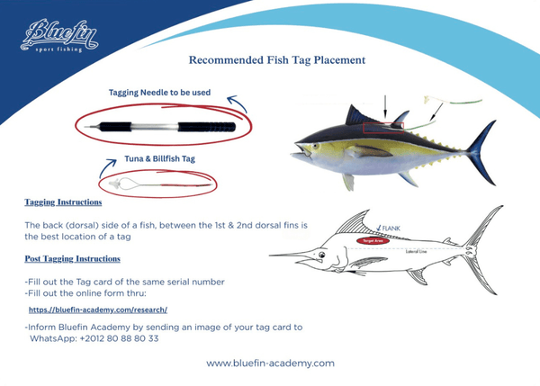 BLUEFIN SPORT FISHING TAGGING KIT - LARGE NEEDLE Tagging Kits - Eprofishing Egypt