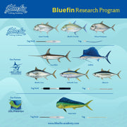 BLUEFIN SPORT FISHING TAGGING KIT - LARGE NEEDLE Tagging Kits - Eprofishing Egypt