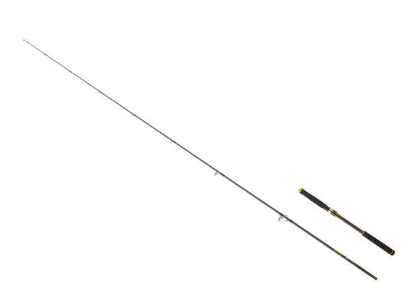 DAIWA LEGALIS SEABASS CASTING ROD LEGSB962HFS - BF / 14–42g / 2.90m Rod - Eprofishing Egypt