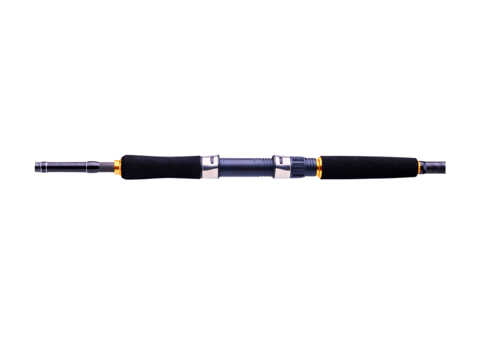 DAIWA LEGALIS SEABASS LEGSB1002HXHFS - AF Rods - Eprofishing Egypt