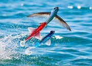 JLC Fly 150 g Lure - Eprofishing Egypt