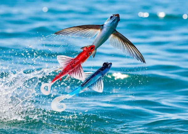 JLC Fly 150 g Lure - Eprofishing Egypt