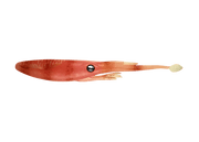 Nomad Jerksquid Jerkshad - Live Ops 10.2cm / 5 pack Lure - Eprofishing Egypt