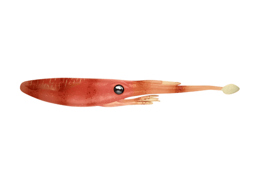 Nomad Jerksquid Jerkshad - Live Ops 10.2cm / 5 pack Lure - Eprofishing Egypt