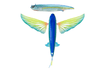 NOMAD SLIPSTREAM FLYING FISH 200 mm / 140 g Stickbaits - Eprofishing Egypt