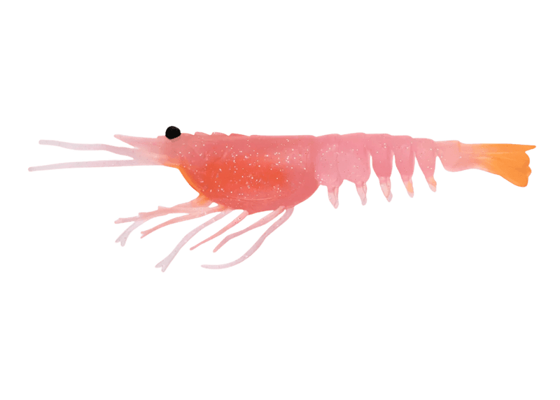 Nomad Switcher Shrimp - Live Ops 8.9cm / 5 pack Lure - Eprofishing Egypt