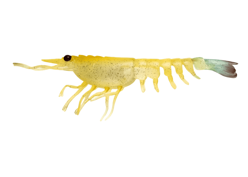 Nomad Switcher Shrimp - Live Ops 8.9cm / 5 pack Lure - Eprofishing Egypt
