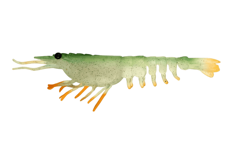 Nomad Switcher Shrimp - Live Ops 8.9cm / 5 pack Lure - Eprofishing Egypt