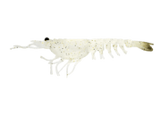 Nomad Switcher Shrimp - Live Ops 8.9cm / 5 pack Lure - Eprofishing Egypt