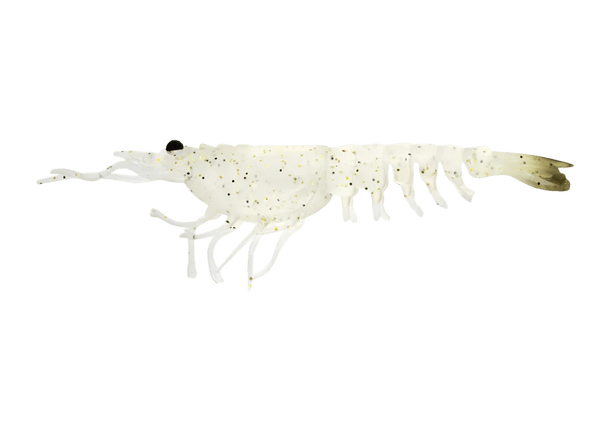 Nomad Switcher Shrimp - Live Ops 8.9cm / 5 pack Lure - Eprofishing Egypt