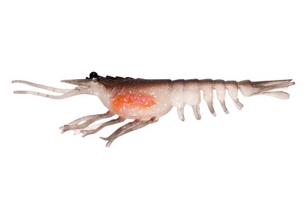 Nomad Switcher Shrimp - Live Ops 8.9cm / 5 pack Lure - Eprofishing Egypt