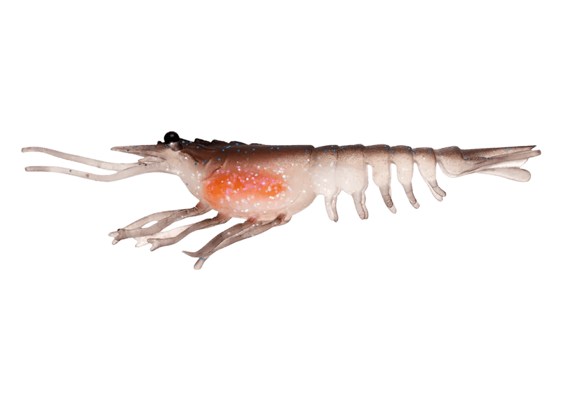 Nomad Switcher Shrimp - Live Ops 8.9cm / 5 pack Lure - Eprofishing Egypt