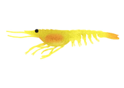 Nomad Switcher Shrimp - Live Ops 8.9cm / 5 pack Lure - Eprofishing Egypt