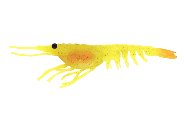 Nomad Switcher Shrimp - Live Ops 8.9cm / 5 pack Lure - Eprofishing Egypt