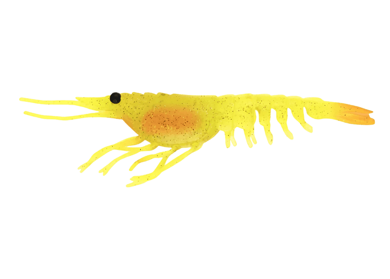 Nomad Switcher Shrimp - Live Ops 8.9cm / 5 pack Lure - Eprofishing Egypt