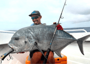 OCEANS LEGACY FOCAL II OFFSHORE CASTING FCL2-S7112HH / 80–160g / 2.41m / Spin Rod - Eprofishing Egypt