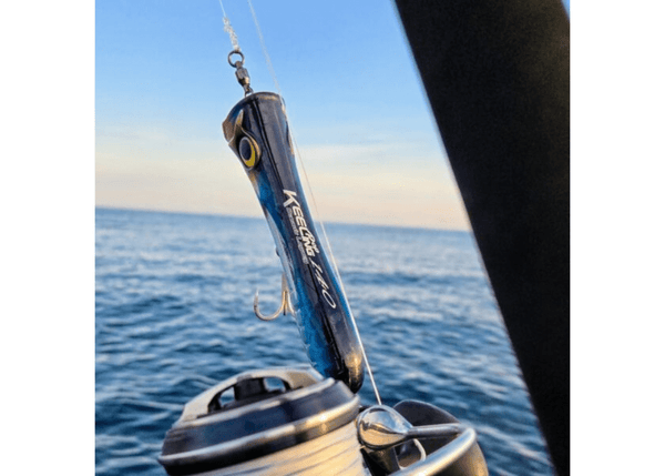 OCEANS LEGACY KEELING POP UNRIGGED 170mm / 67g Lure - Eprofishing Egypt