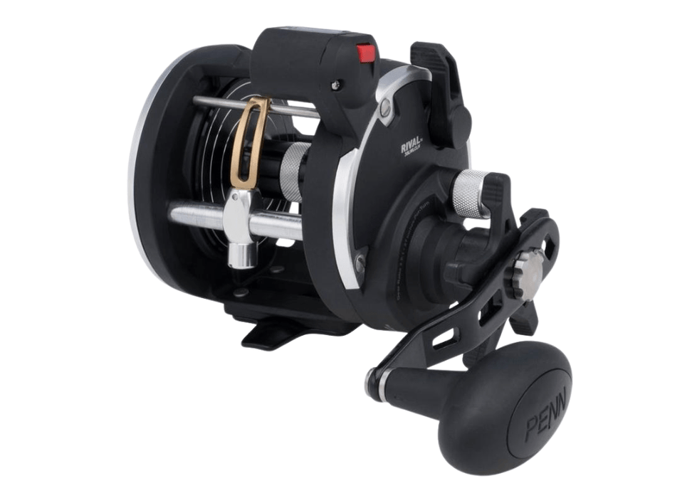 PENN RIVAL LEVEL WIND RVL30LWLC Reels - Eprofishing Egypt