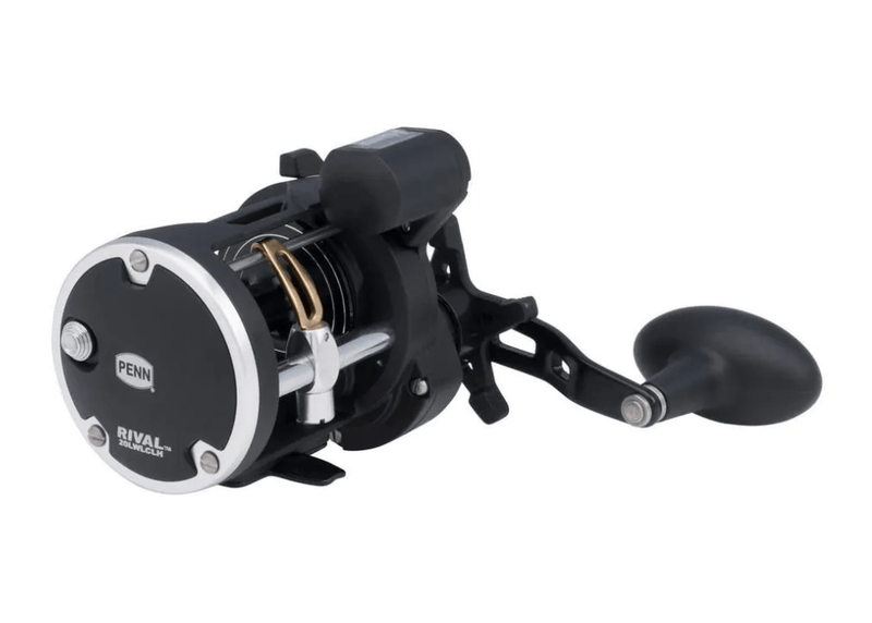 PENN RIVAL LEVEL WIND RVL30LWLC Reels - Eprofishing Egypt