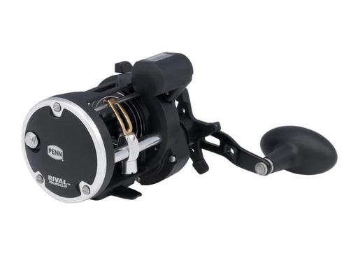PENN RIVAL LEVEL WIND RVL30LWLC Reels - Eprofishing Egypt