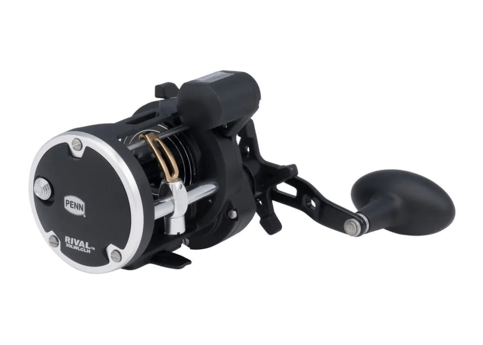 PENN RIVAL LEVEL WIND RVL30LWLC Reels - Eprofishing Egypt
