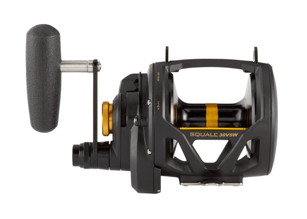 PENN SQUALL® LEVER DRAG 2 SPEED SQL30VSW Reels - Eprofishing Egypt