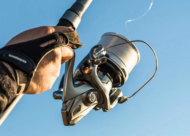 Surf Fishing