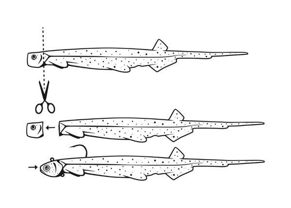 QUANTUM PELAGIC SHAD 21 cm / 23 g Lures - Eprofishing Egypt