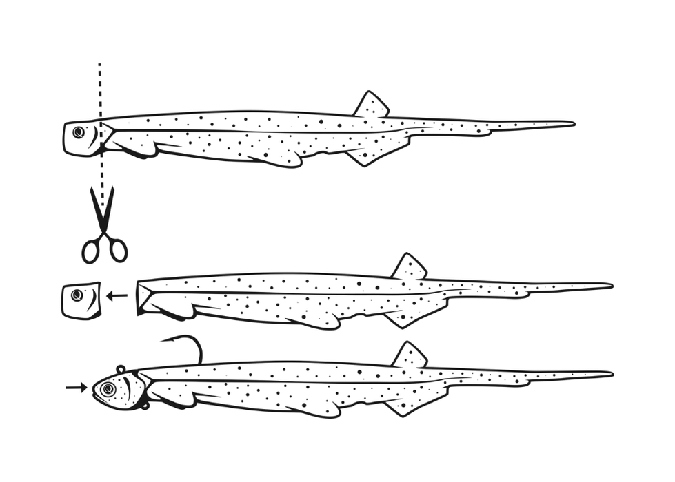 QUANTUM PELAGIC SHAD 21 cm / 23 g Lures - Eprofishing Egypt