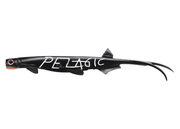QUANTUM PELAGIC SHAD 21 cm / 23 g Lures - Eprofishing Egypt