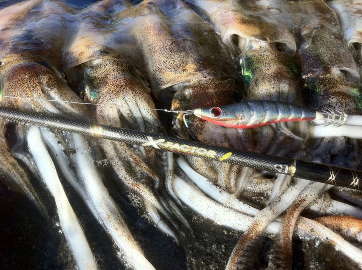 RAPALA IKADO 101 3.5 - 10.5cm Squid Jigs - Eprofishing Egypt