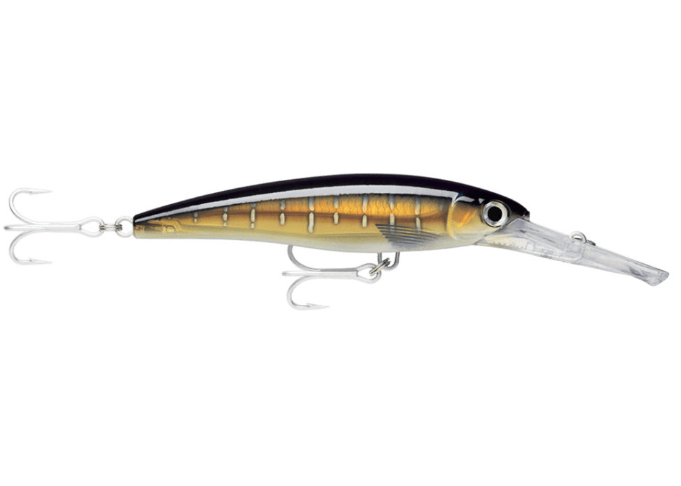 RAPALA X - RAP MAGNUM 12cm / 32g Lures - Eprofishing Egypt