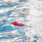 RAPALA X - RAP MAGNUM PREY 10cm / 41g Lures - Eprofishing Egypt