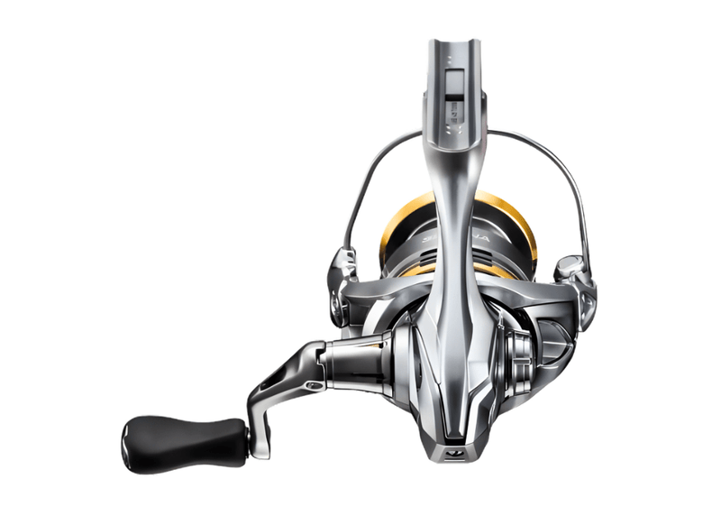 SHIMANO SEDONA FJ SE2500SPE1010FJ Reel - Eprofishing Egypt