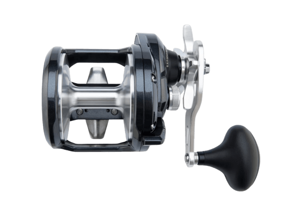 Shimano Torium A Reel - Eprofishing Egypt