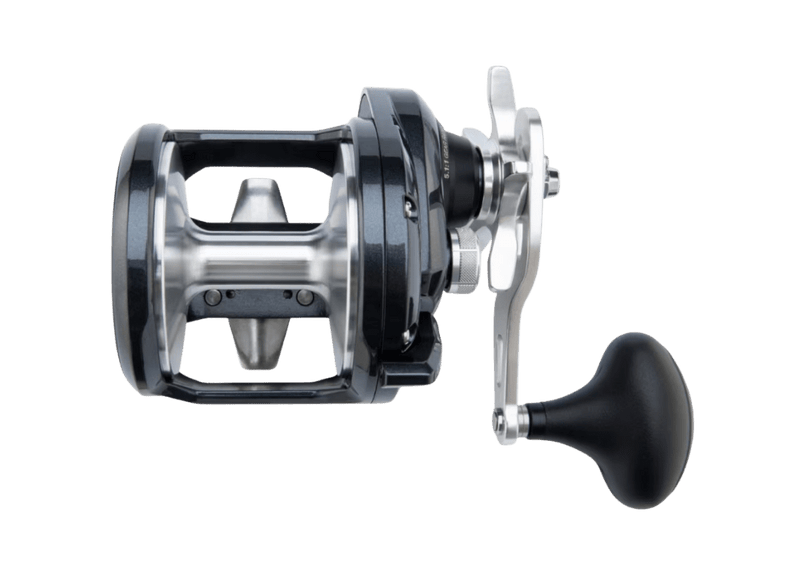 Shimano Torium A Reel - Eprofishing Egypt