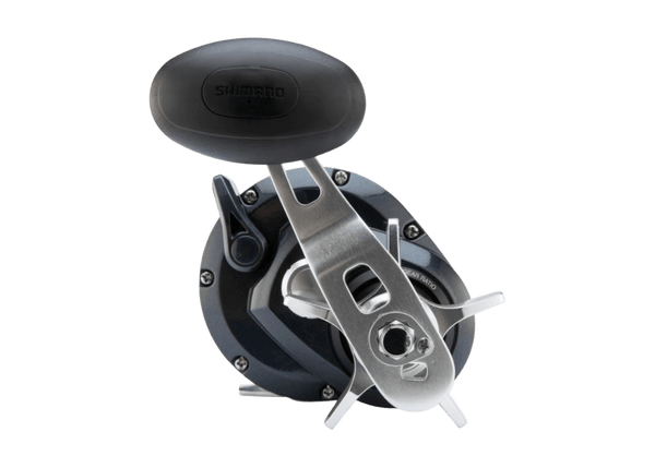 Shimano Torium A Reel - Eprofishing Egypt